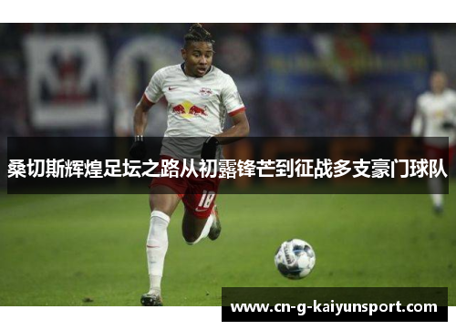 桑切斯辉煌足坛之路从初露锋芒到征战多支豪门球队 桑切斯辉煌足坛之路从初露锋芒到征战多支豪门球队